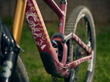 AMS Extra Signature design in white over a Specialized Sworks