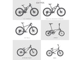 AMS X Freeride Fiesta Frame Guard Extra